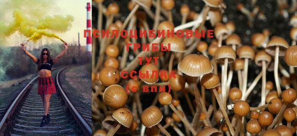скорость Алексин