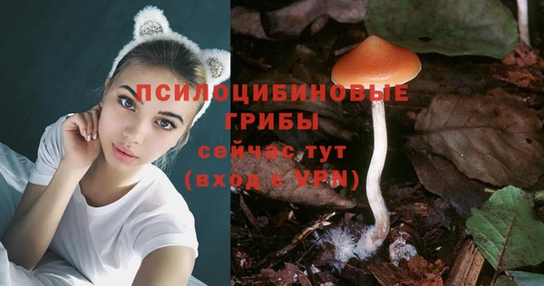 трава Алзамай