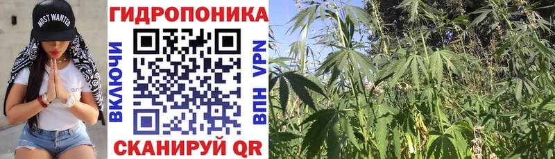 Канабис MAZAR  купить закладку  Алушта 
